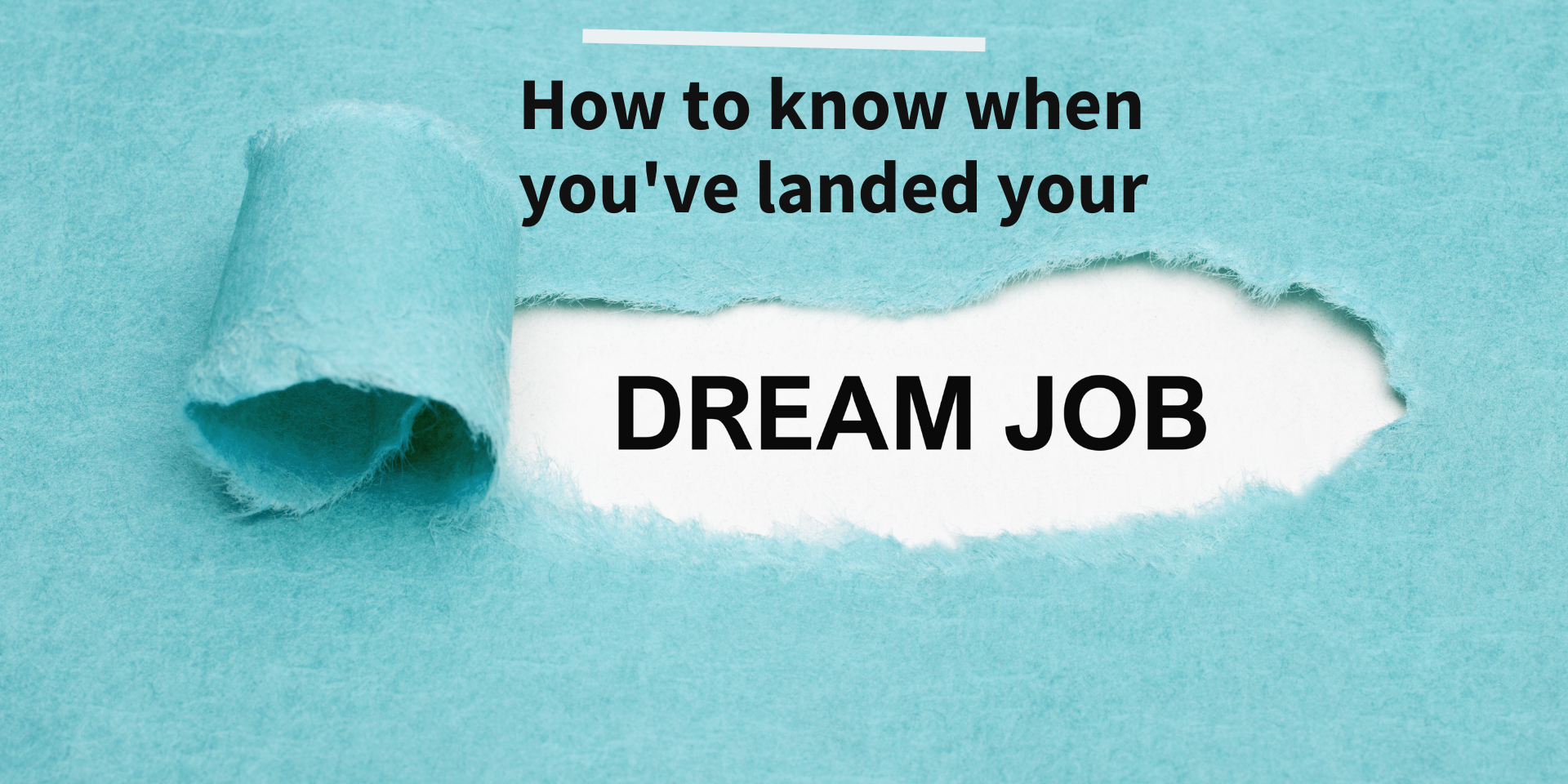 Job of your Dreams